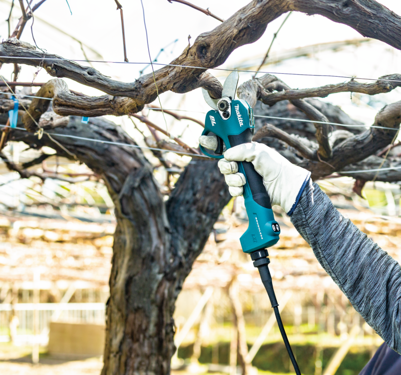 Akülü Budama Makası 