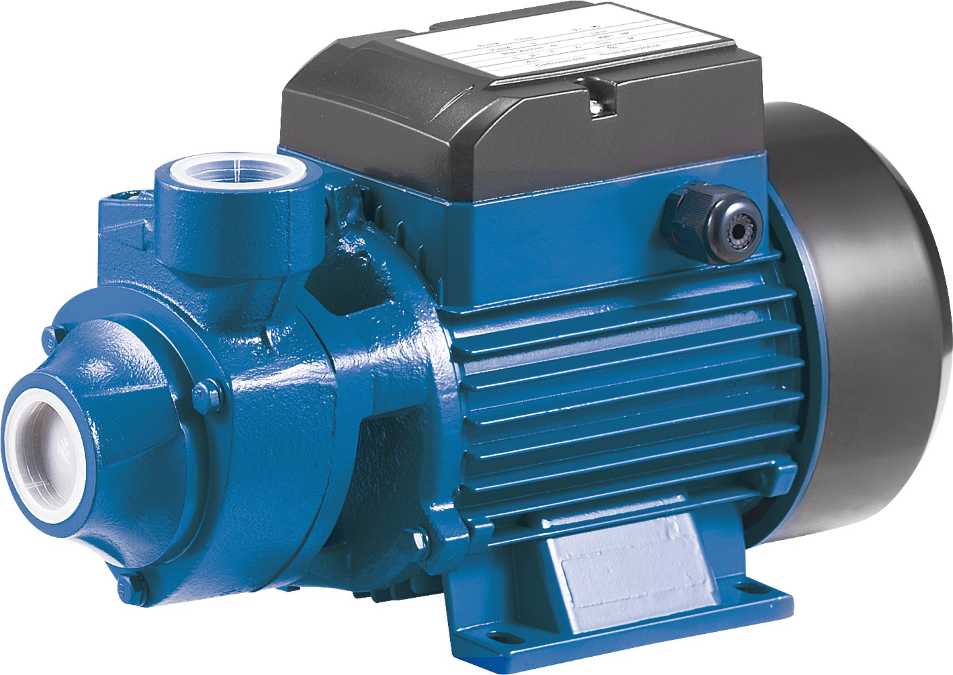 RAINPUMP QB80 -1 HP SANTRIFUJ POMPA