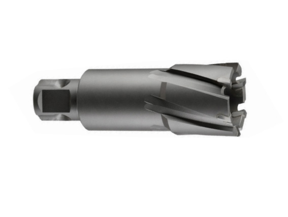 TCT KESİCİ UÇ 16x55 mm