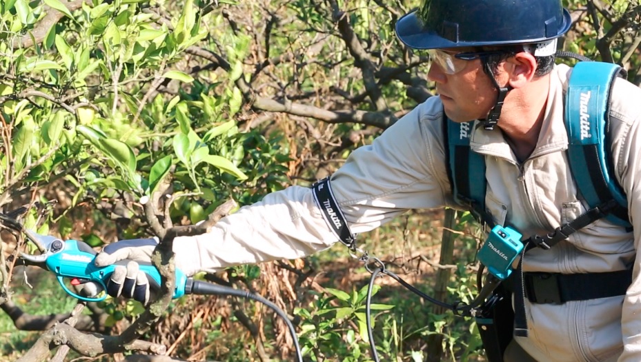 AKÜLÜ ÇİT BUDAMA MAKİNASI 18V