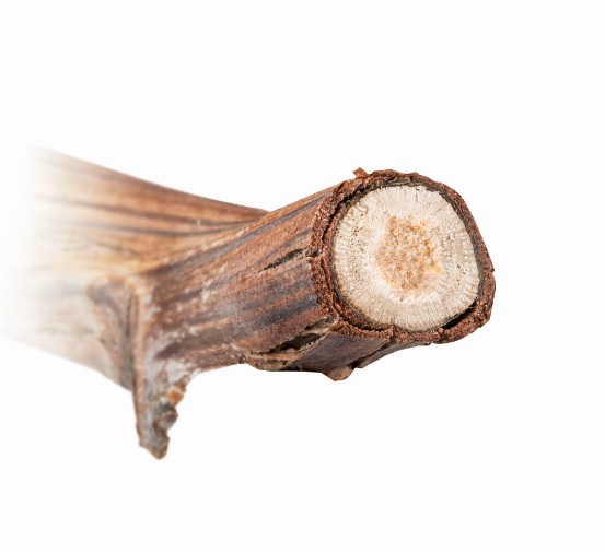 AKÜLÜ ÇİT BUDAMA MAKİNASI 18V