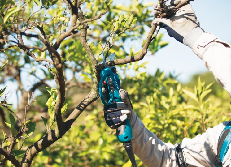 AKÜLÜ ÇİT BUDAMA MAKİNASI 18V