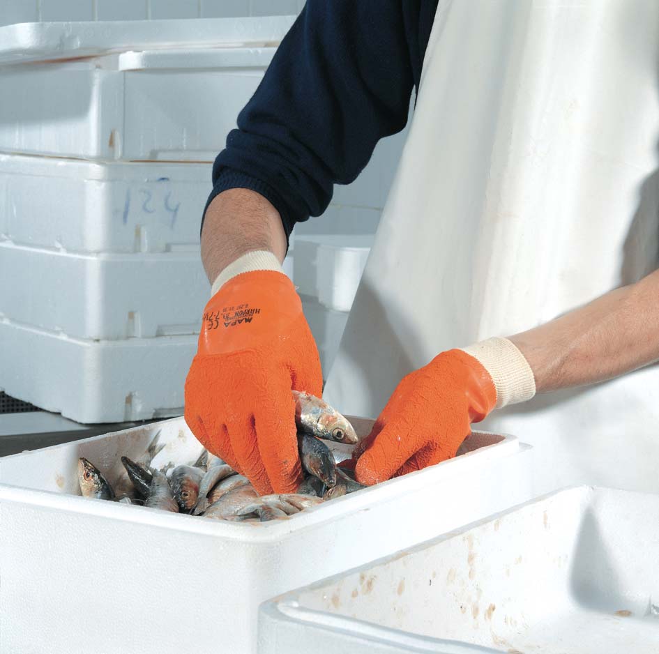 EN  -  MAPA HARPON 319 NO: 9 / 9,5